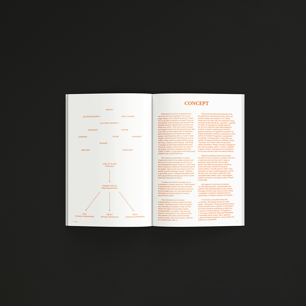 Riconessione Publication 3